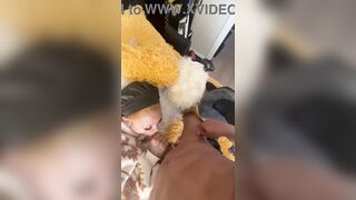 Sucking Huge Black Dick